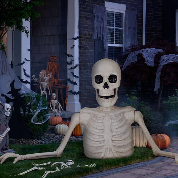 Halloween Skeleton Decor