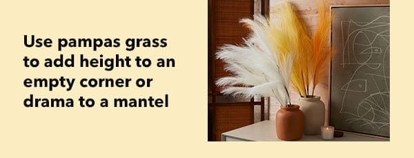 Use pampas grass to add height to an empty corner or drama to a mantel\u200b.