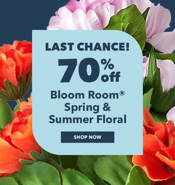 Last Chance! 70% off. Bloom Room® Spring & Summer Floral. Shop Now.