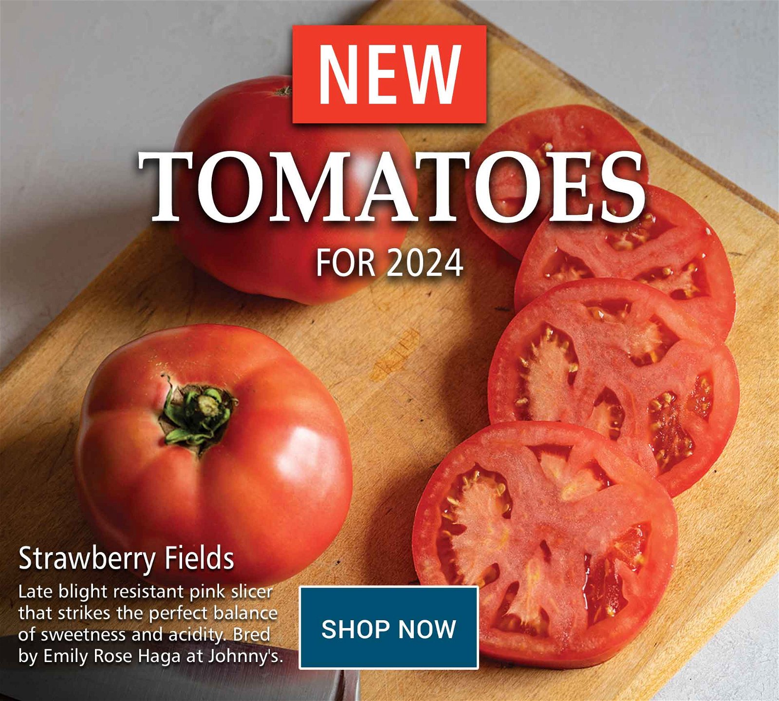 Shop Johnny's New Tomatoes for 2024