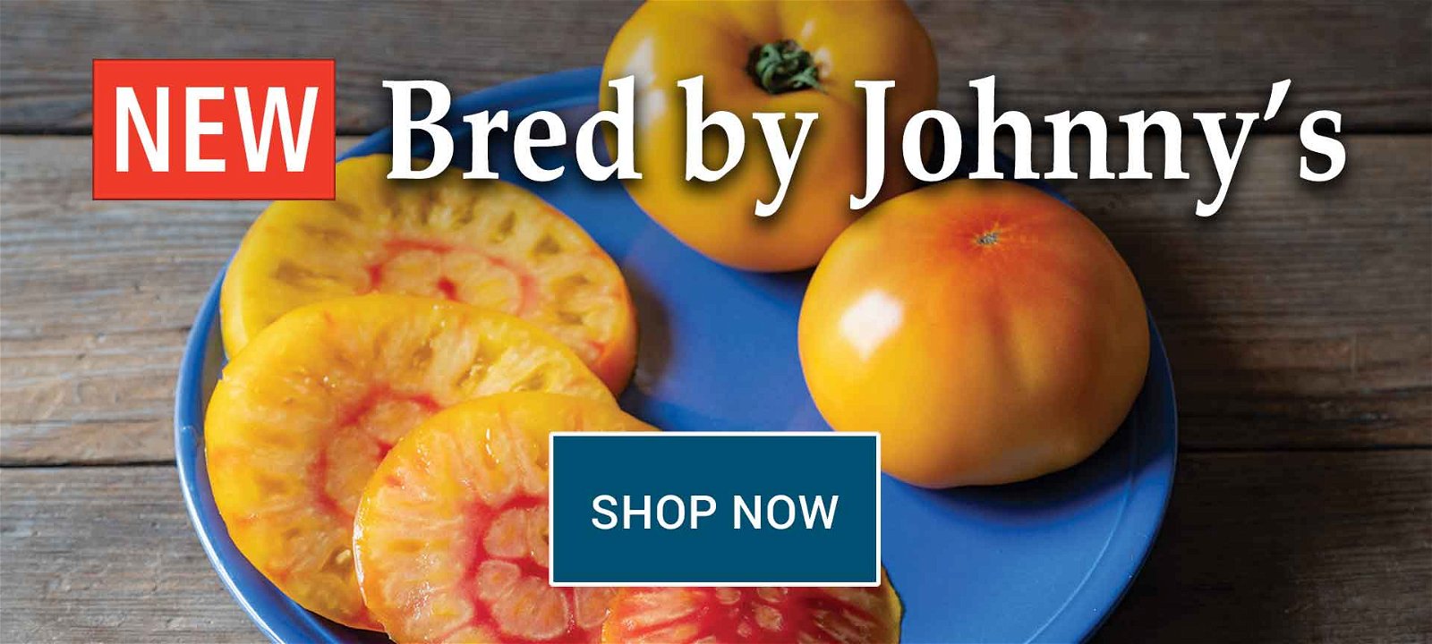 Shop Johnny's New Tomatoes from the Breeding Team