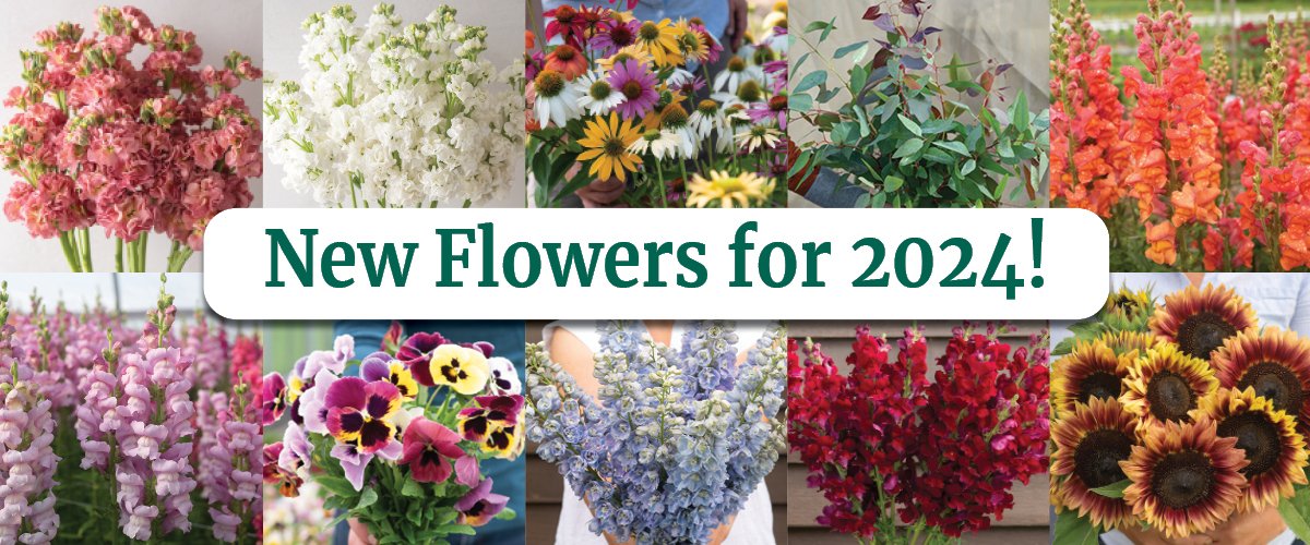 REGISTER TODAY: Free Webinar: New Flowers for 2024