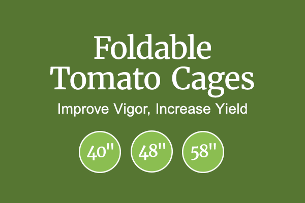 Shop Tomato Cages