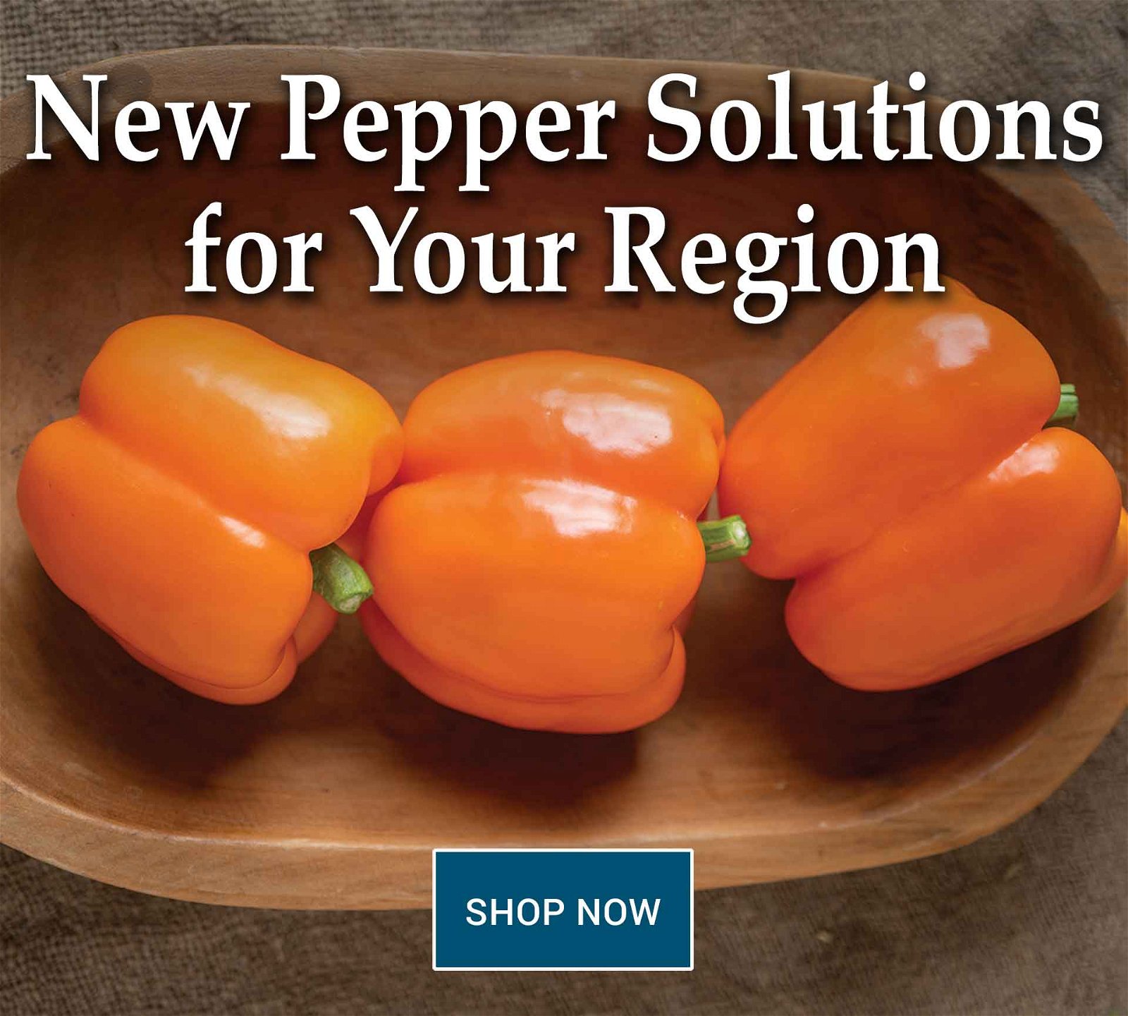 Shop Johnny's New Peppers for 2024