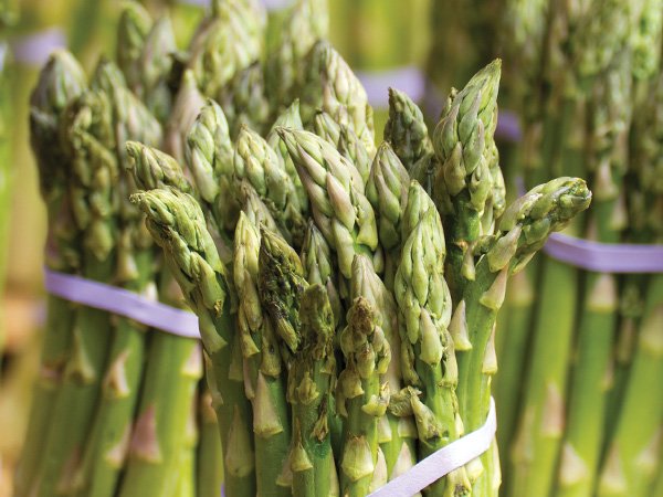 Shop Asparagus Crowns