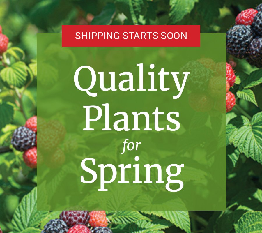 Pre-Order Spring Plants Before They're Gone!