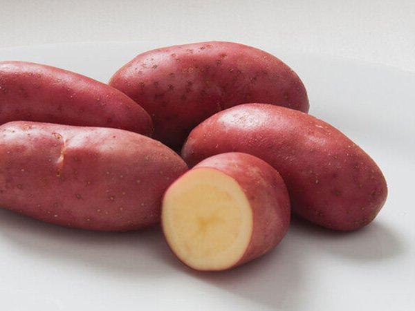 Shop Seed Potatoes