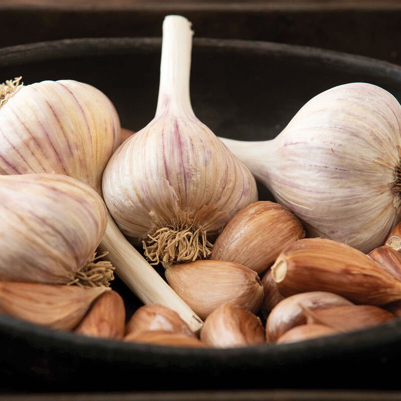 German Red Garlic Image