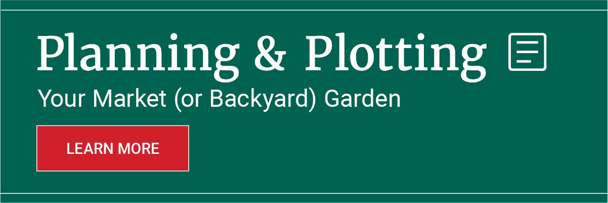 Planning & Plotting Your Market (or Backyard) Garden Banner Image