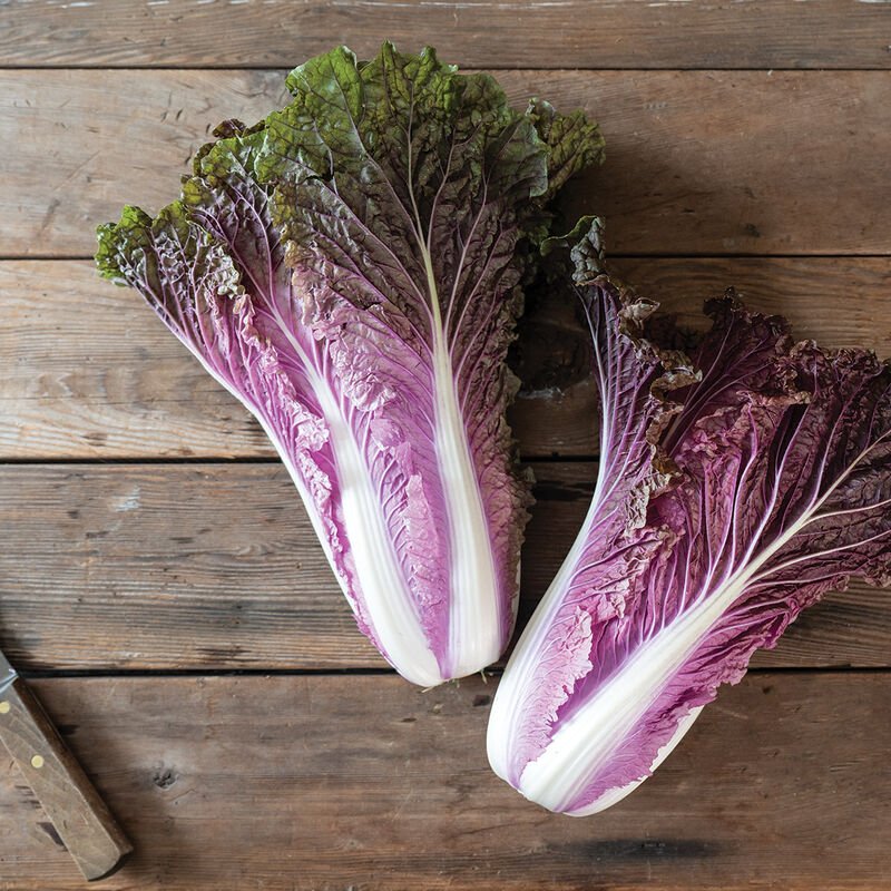 Shop Johnny's Red Trumpet Chinese Cabbage
