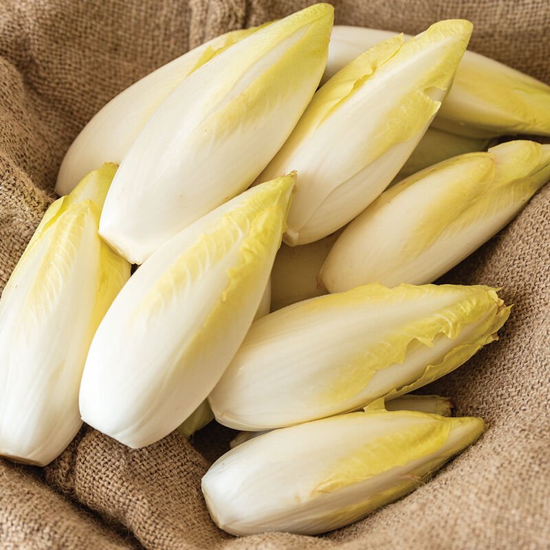 Shop Johnny's Bingo Belgian Endive