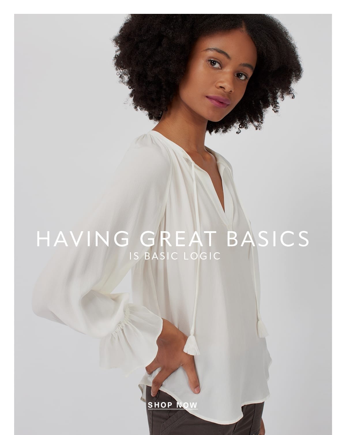 HAVING GREAT BASICS IS BASIC LOGIC SHOP NOW