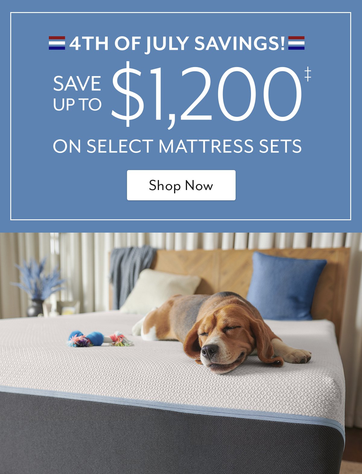 Shop Sleep Savings!