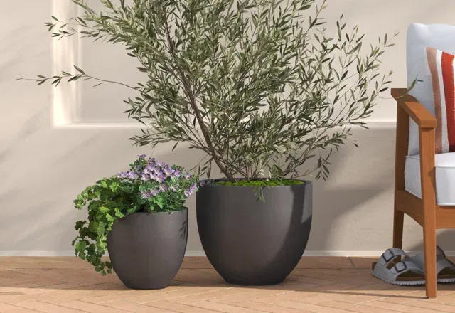 Planter Pots