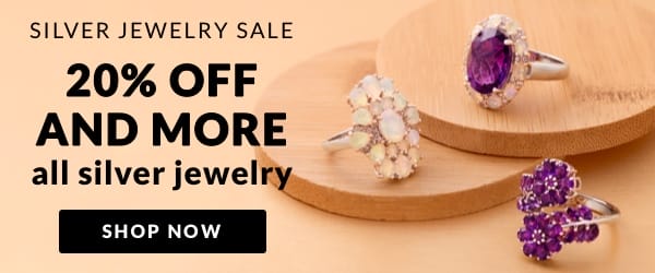 20% off and more all silver jewelry