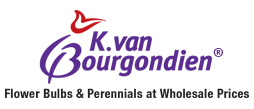 K. van Bourgondien