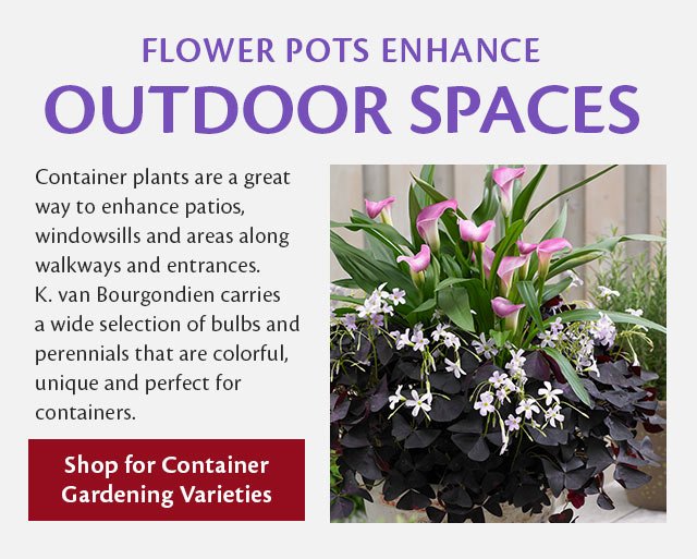 Container Gardening