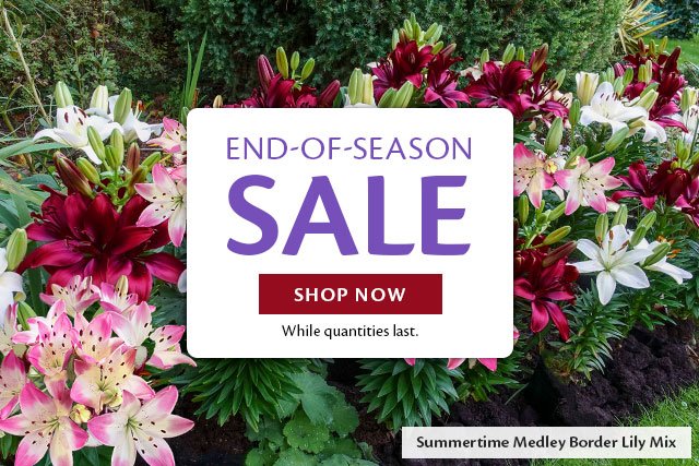 END OF SEASON SALE!