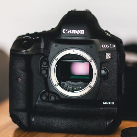 Best DSLR Cameras for Professional Photography