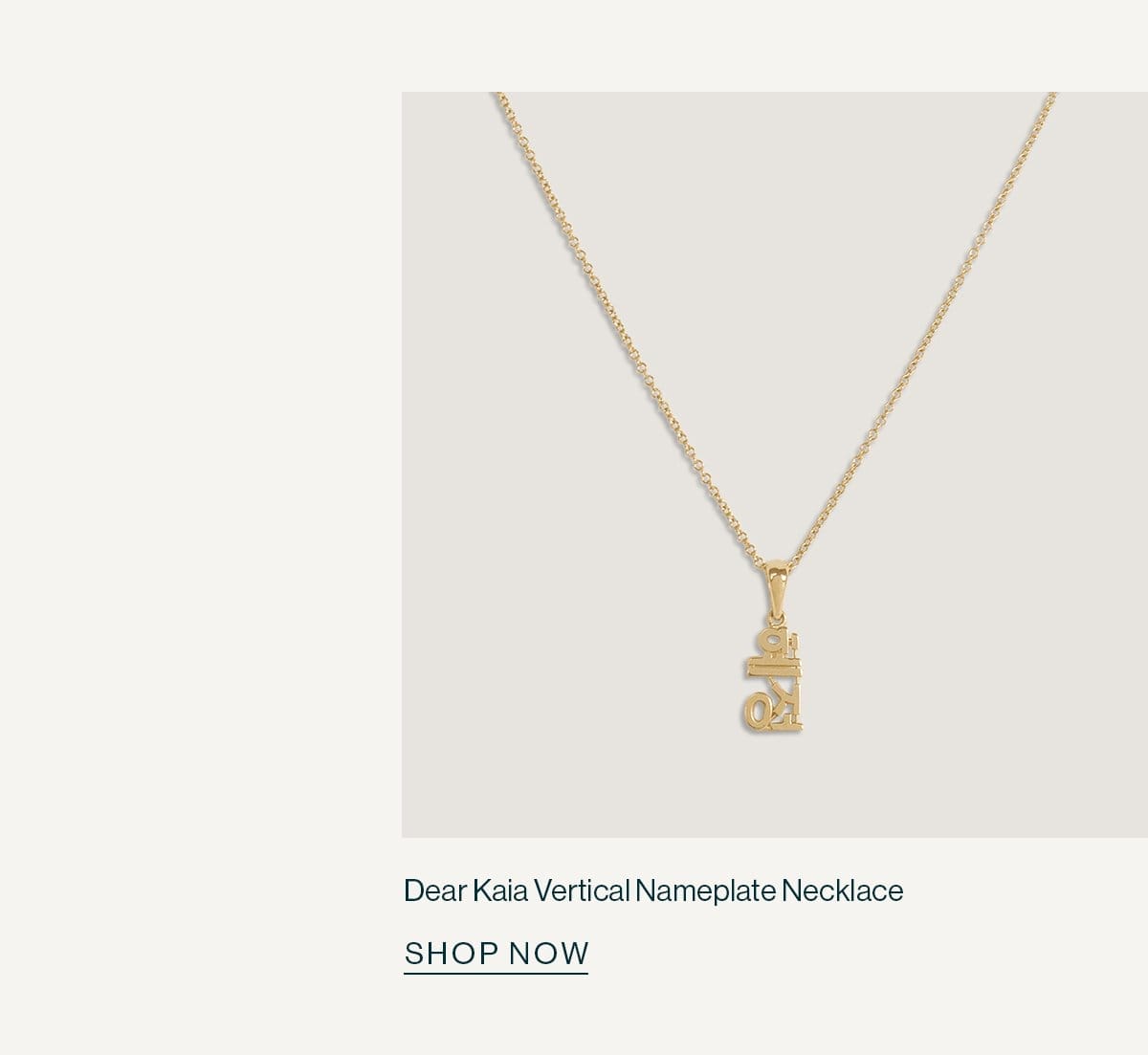 Dear Kaia Vertical Nameplate Necklace