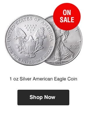 1 oz Silver American Eagle Coin