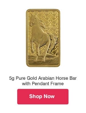 5g Pure Gold Arabian Horse Bar with Pendant Frame 