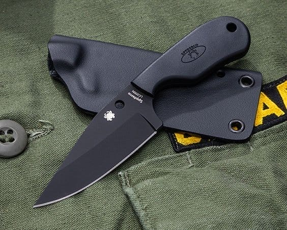 Spyderco Subway Bowie