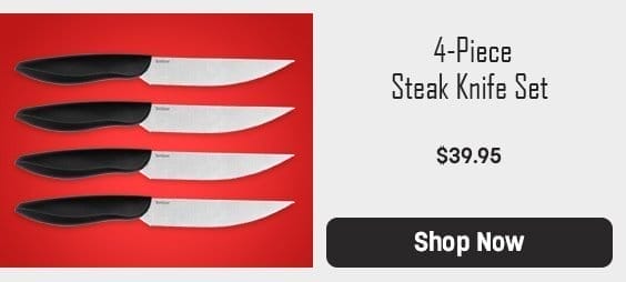 4-Piece Steak Knife Set