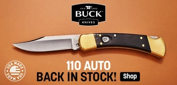 Buck 110 AUTO Folding Hunter