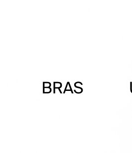 Bras