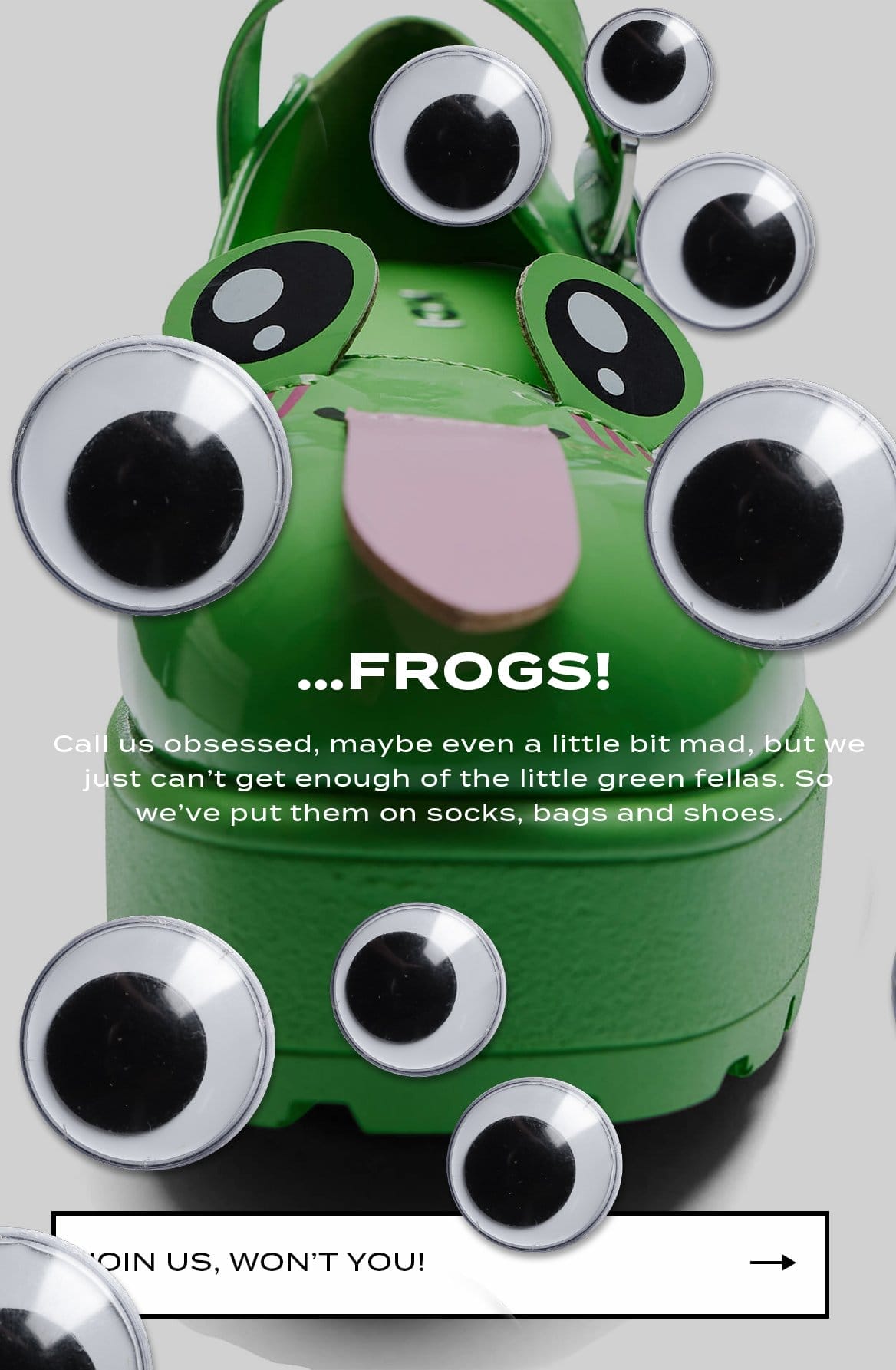 Frog Collection Banner