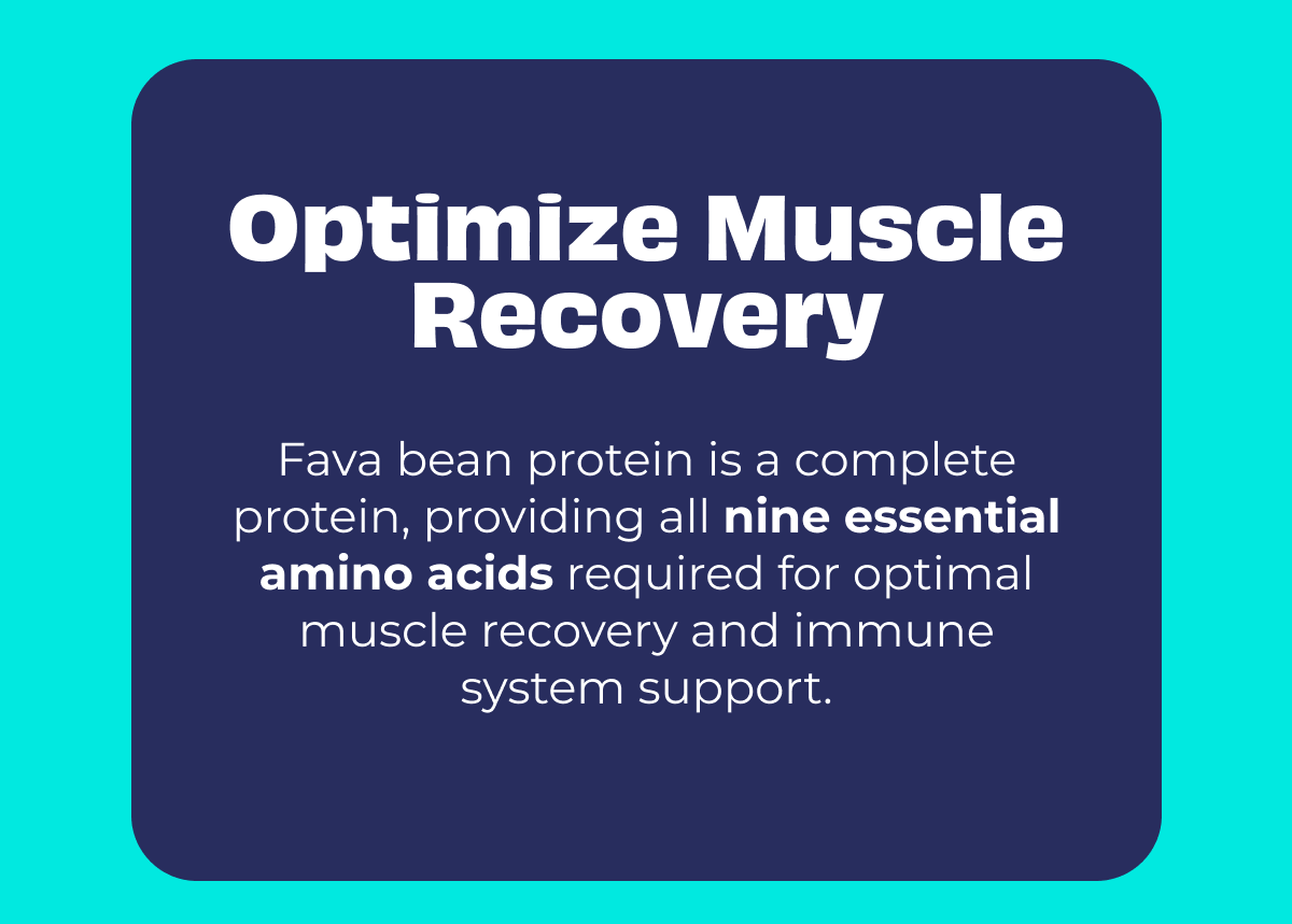 Optimize Muscle Recovery