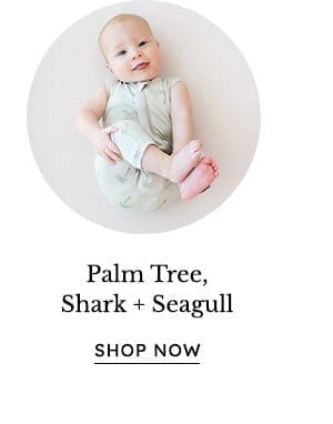 Palm Tree + Shark + Seagull