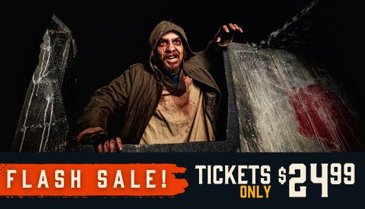 Flash Sale! Tickets Only \\$24.99