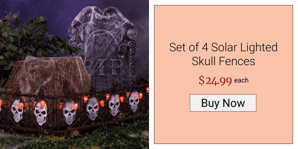 Set of 4 Solar Lighted Skull Fences