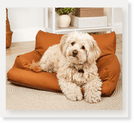 Waterproof Pet Sofas