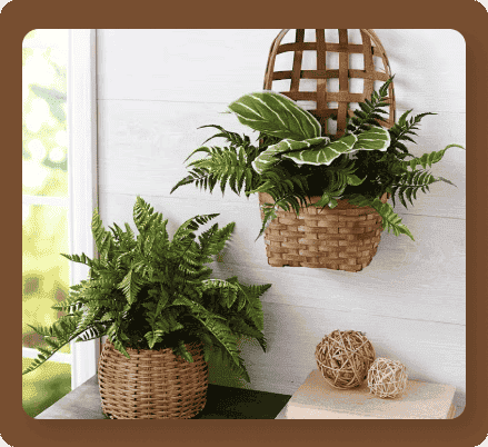 Artificial Fern Plants