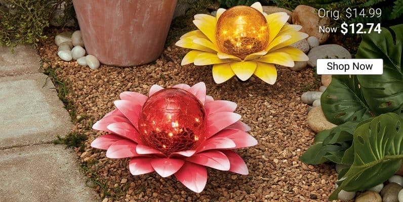 Solar Gazing Ball Blooming Flowers