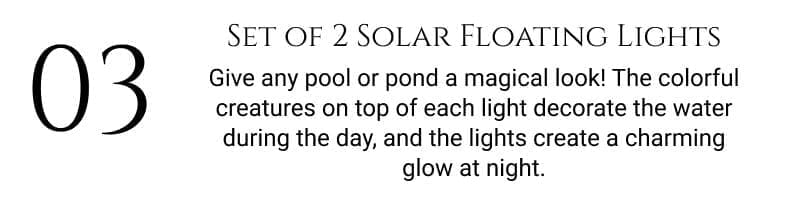 Set of 2 Solar Floating Lights