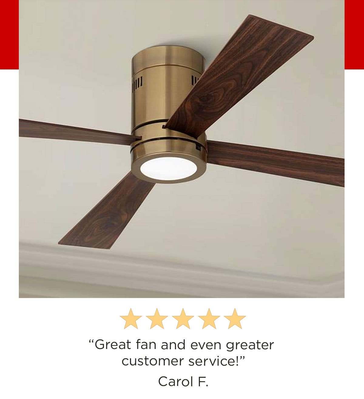 5 stars - "Great fan and even greater customer service!" Carol F.