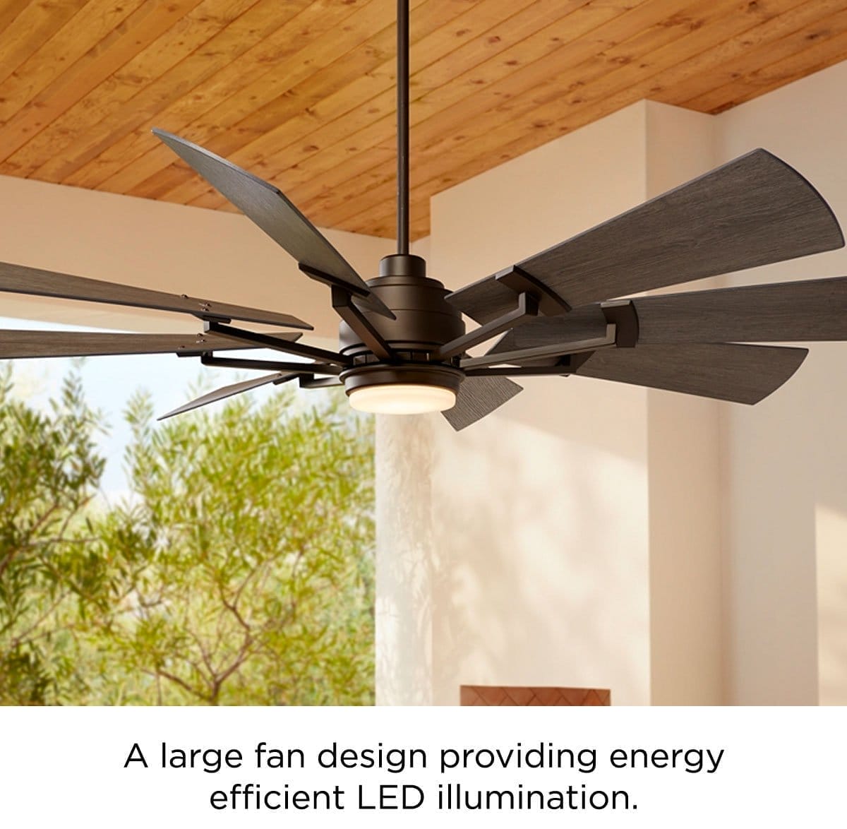 A large fan design providing energy efficient LED illumination.