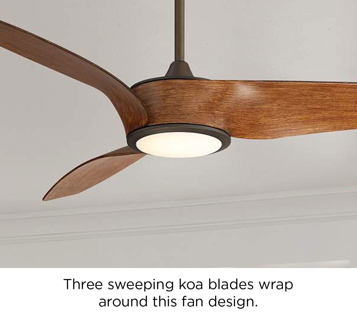 Three sweeping koa blades wrap around this fan design.