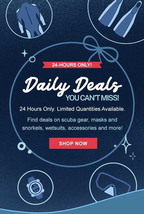 24-HOURS ONLY! | Daily Deals - SHOP NOW
