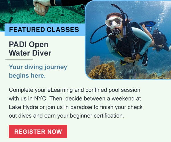 PADI Open Water Diver | Register Now