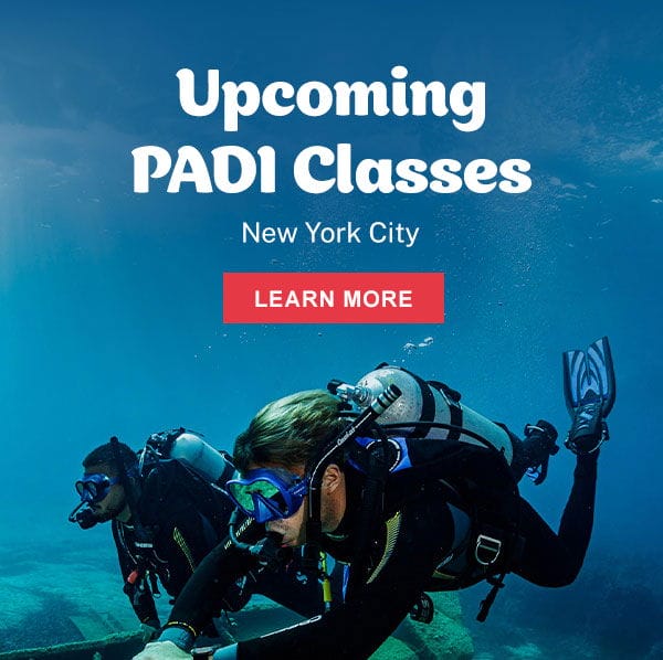 Upcoming PADI Classes | Learn More