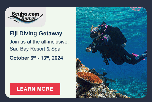 Fiji Diving Getaway | Learn More