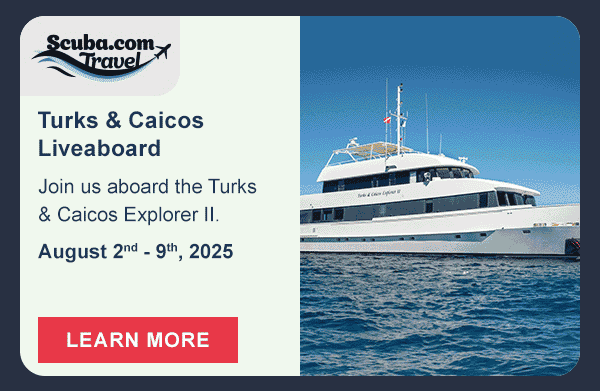 Turks and Caicos Liveaboard | Learn More