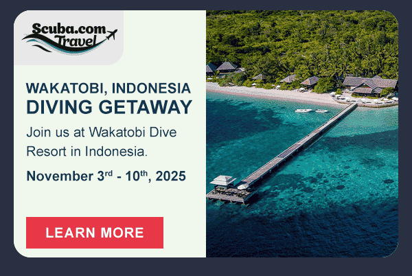 Wakatobi, Indonesia Diving Getaway | Learn More