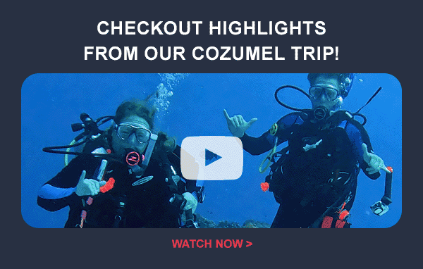 Checkout Highlights from our Cozumel Trip | Watch Now