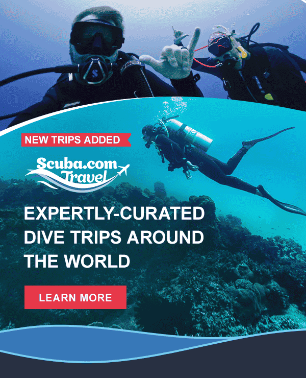 Expertly-Curated Dive Trips Around The World | Learn More